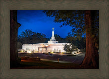 Load image into Gallery viewer, Baton Rouge and the Louisiana Blues
