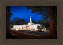 Load image into Gallery viewer, Baton Rouge and the Louisiana Blues
