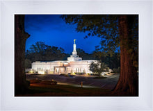 Load image into Gallery viewer, Baton Rouge and the Louisiana Blues
