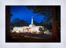 Load image into Gallery viewer, Baton Rouge and the Louisiana Blues
