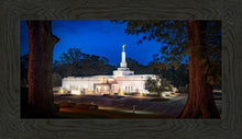 Load image into Gallery viewer, Baton Rouge and the Louisiana Blues
