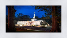 Load image into Gallery viewer, Baton Rouge and the Louisiana Blues
