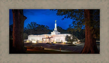Load image into Gallery viewer, Baton Rouge and the Louisiana Blues
