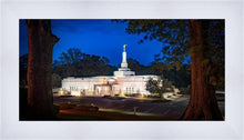 Load image into Gallery viewer, Baton Rouge and the Louisiana Blues
