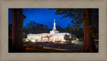 Load image into Gallery viewer, Baton Rouge and the Louisiana Blues

