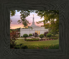 Load image into Gallery viewer, Birmingham Garden
