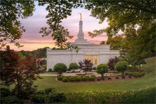 Load image into Gallery viewer, Birmingham Garden
