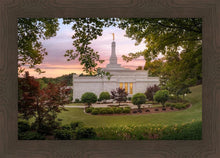 Load image into Gallery viewer, Birmingham Garden
