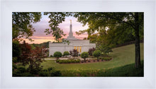 Load image into Gallery viewer, Birmingham Garden
