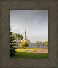 Load image into Gallery viewer, Bismarck Golden Glow
