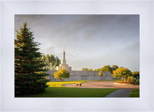 Load image into Gallery viewer, Bismarck Golden Glow
