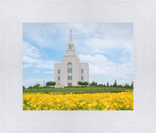 Load image into Gallery viewer, Blue and Gold Kansas City
