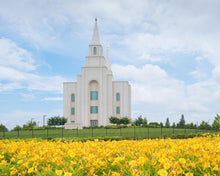 Load image into Gallery viewer, Blue and Gold Kansas City
