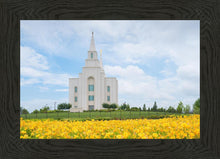 Load image into Gallery viewer, Blue and Gold Kansas City
