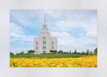 Load image into Gallery viewer, Blue and Gold Kansas City
