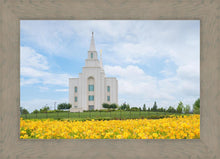 Load image into Gallery viewer, Blue and Gold Kansas City
