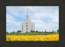Load image into Gallery viewer, Blue and Gold Kansas City
