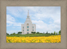 Load image into Gallery viewer, Blue and Gold Kansas City
