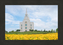 Load image into Gallery viewer, Blue and Gold Kansas City
