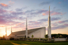 Load image into Gallery viewer, Boise Springtime
