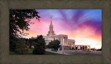 Load image into Gallery viewer, Bountiful Light
