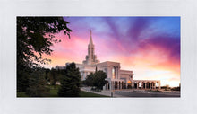 Load image into Gallery viewer, Bountiful Light
