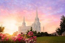 Load image into Gallery viewer, Brigham City Spring

