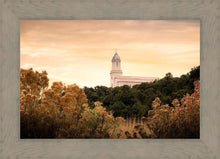Load image into Gallery viewer, Cedar City Golden
