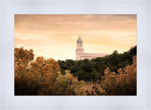 Load image into Gallery viewer, Cedar City Golden
