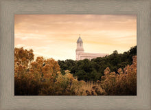 Load image into Gallery viewer, Cedar City Golden
