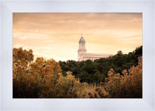 Load image into Gallery viewer, Cedar City Golden
