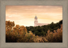 Load image into Gallery viewer, Cedar City Golden
