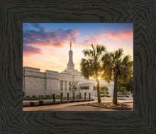 Load image into Gallery viewer, Columbia Palmetto Sunset
