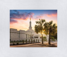 Load image into Gallery viewer, Columbia Palmetto Sunset
