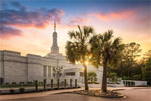 Load image into Gallery viewer, Columbia Palmetto Sunset
