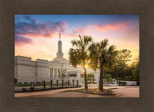 Load image into Gallery viewer, Columbia Palmetto Sunset
