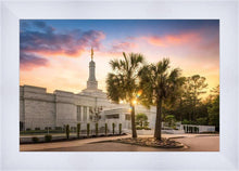 Load image into Gallery viewer, Columbia Palmetto Sunset
