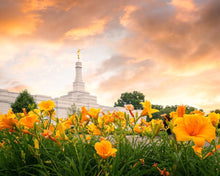Load image into Gallery viewer, Detroit Flowers
