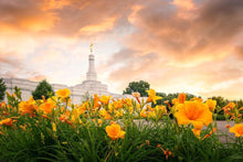Load image into Gallery viewer, Detroit Flowers
