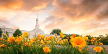 Load image into Gallery viewer, Detroit Flowers
