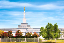 Load image into Gallery viewer, Fresno Day Panorama
