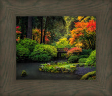 Load image into Gallery viewer, Garden Bridge
