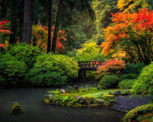 Load image into Gallery viewer, Garden Bridge
