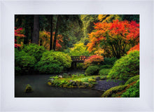 Load image into Gallery viewer, Garden Bridge
