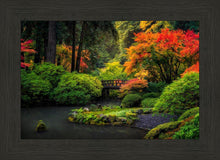 Load image into Gallery viewer, Garden Bridge
