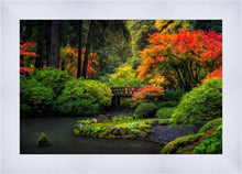 Load image into Gallery viewer, Garden Bridge

