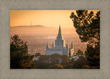 Load image into Gallery viewer, Golden Oakland
