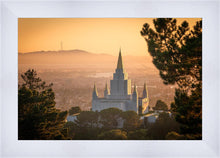 Load image into Gallery viewer, Golden Oakland
