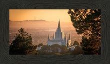 Load image into Gallery viewer, Golden Oakland
