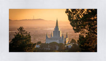 Load image into Gallery viewer, Golden Oakland
